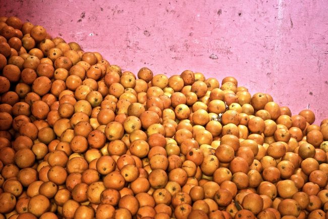 fotografia decorativa