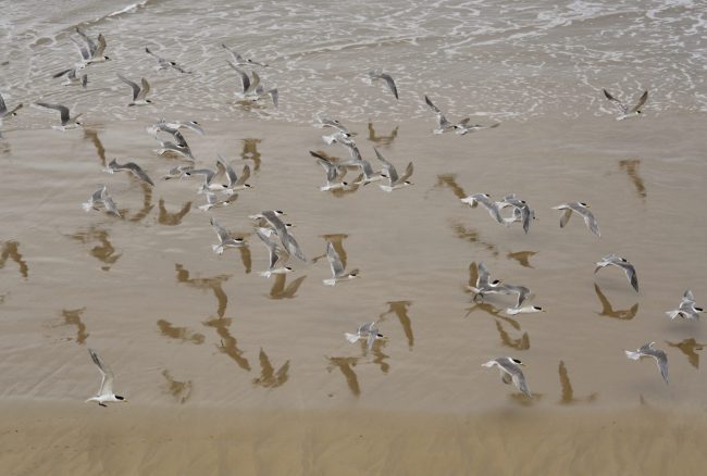 fotografia decorativa paisaje