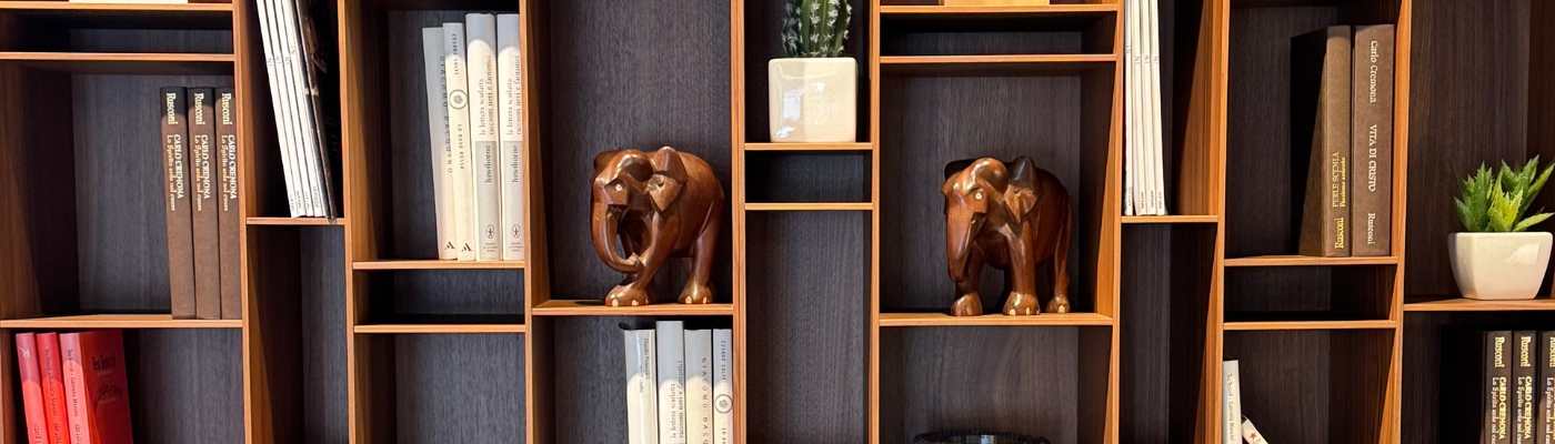 portada blog estantería